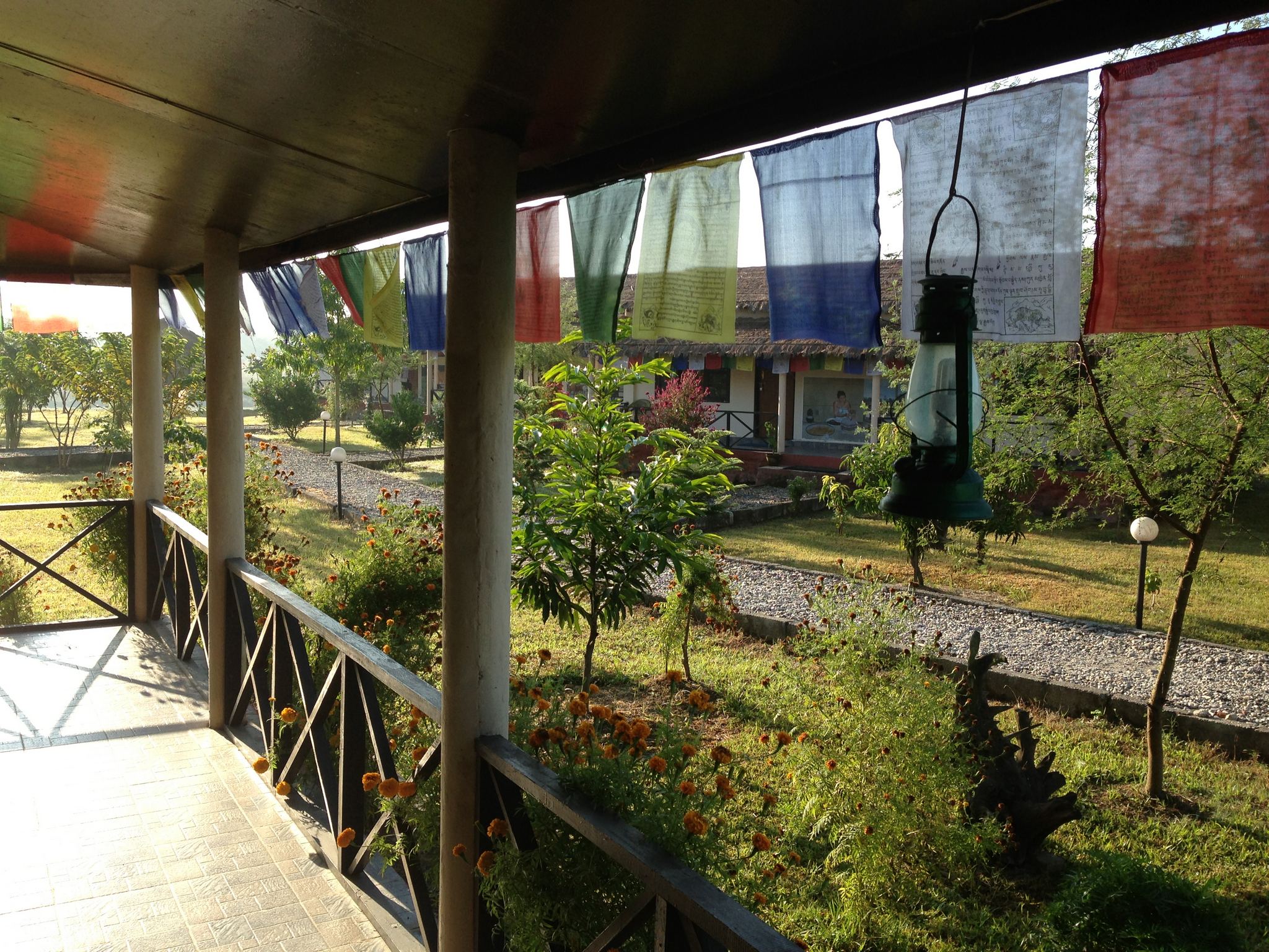 Wildlife Adventure Resort