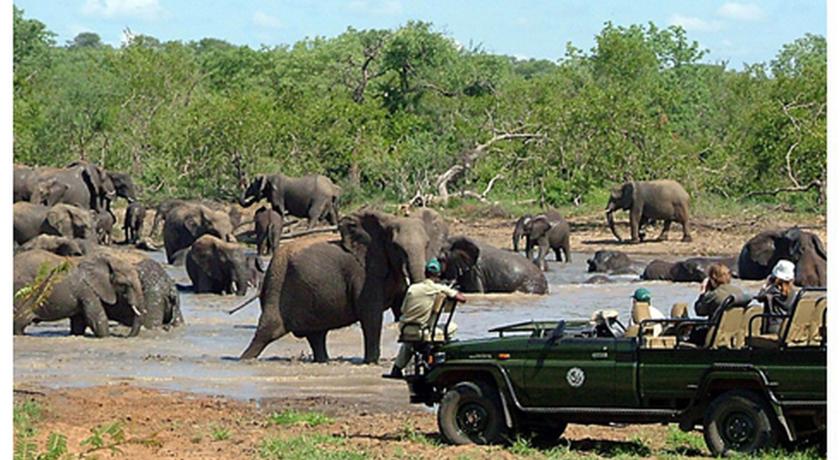 Pondoro Game Lodge