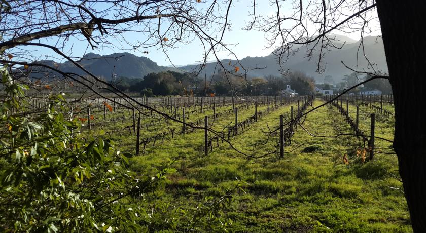 Le Manoir De Brendel