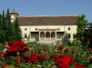Schloss Weikersdorf Baden Thermal Resort