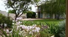 Coonawarra Motor Lodge
