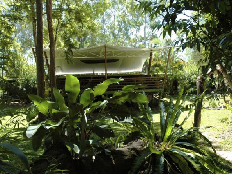 Cedar Park Rainforest Resort