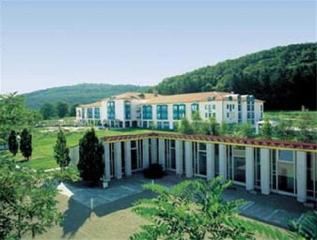 Ramada-Treff Limes Thermen