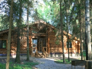 Романов лес