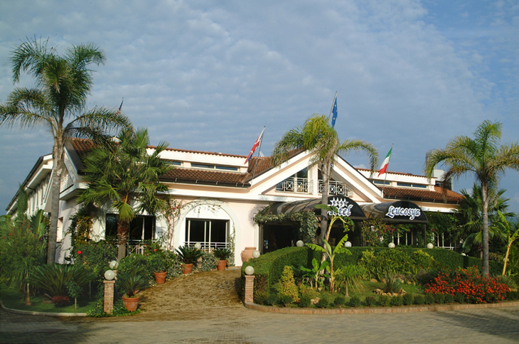 Leucosya