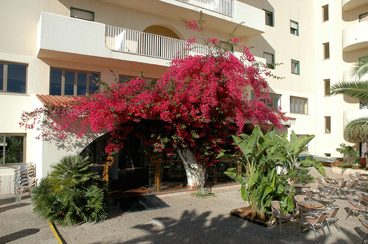 Paradise Beach Resort