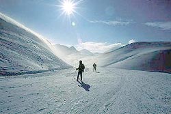 Паландокен