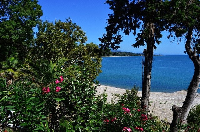 У туристов появятся проблемы в Абхазии: туроператоры раскрыли подробности