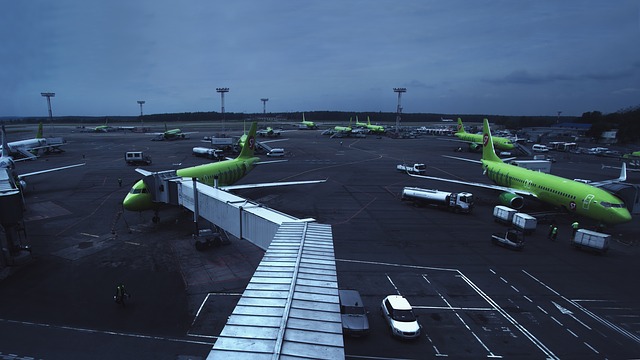 Экономов стало три: S7 Airlines ввела новую систему тарифов