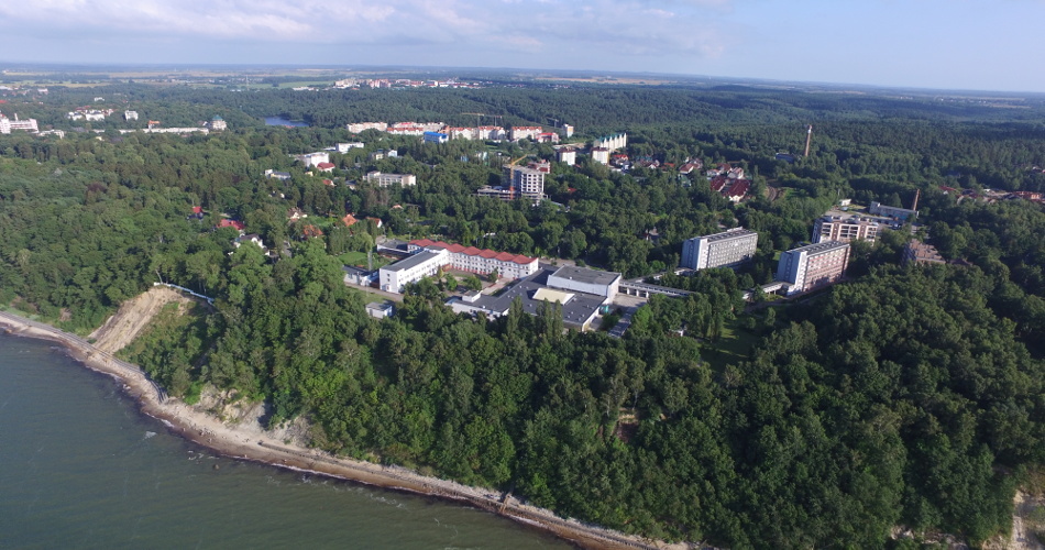 Янтарный берег