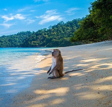 Такого не было 40 лет. Таиланд столкнулся с сильнейшей засухой