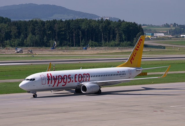 Еще одна авиакомпания не пустит на рейсы в Турции туристов без ПЦР-тестов