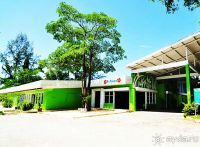 Сад бабочек