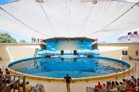 Анапский дельфинарий