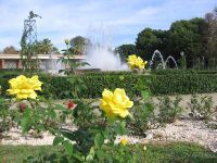 Королевские сады Валенсии