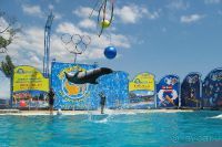 Театр морских животных "Акватория"