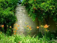 Центральный ботанический сад (Бакинский ботанический сад)