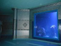 Городской аквариум