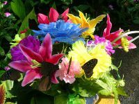 Долина бабочек