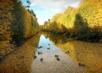 Оливский парк имени Адама Мицкевича