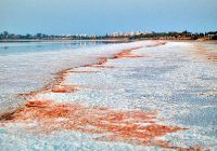 Соляное озеро