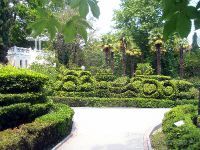 Гурзуфский парк