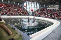 Варненский дельфинарий