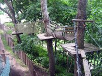 Парк приключений "Лесной кот" (Парк приключений "Межакатис")