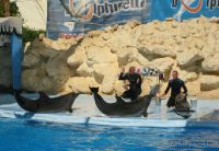 Дельфинарий