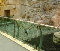 Парк пустыни Шарджи