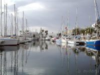 Марина Монастира