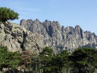 Иглы Бавэлла