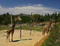 Национальный зоопарк и аквариум