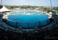 Маринеленд