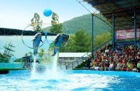 Дельфинарий