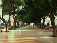 Бульвар Прадо