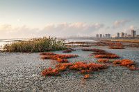 Атанасовское озеро