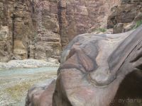 Заповедник Муджиб