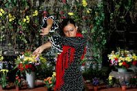 Дом памяти Аль-Андалуса