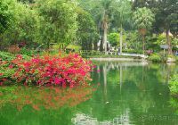 Зоологический и Ботанический сады