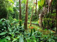 Национальный парк Тижука