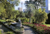 Королевские ботанические сады