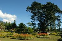 Ботанический сад Бали